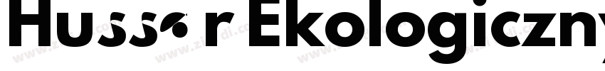 Hussar Ekologiczny字体转换